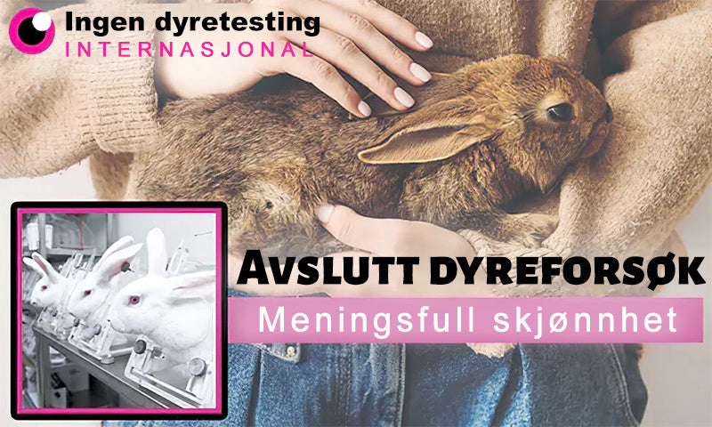 👔Turoment™ Bie Gift Behandlingskrem (🔥Siste dag, 80 % rabatt)